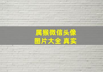 属猴微信头像图片大全 真实